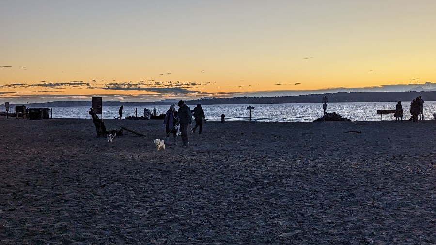 Image: Patrons enjoy the dog park at Marina Beach Park in Edmonds in January 2023....