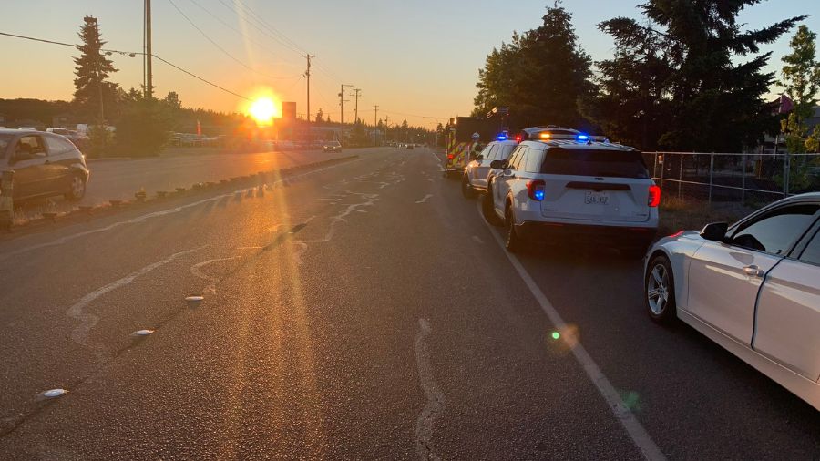 wsp hit-and-run...