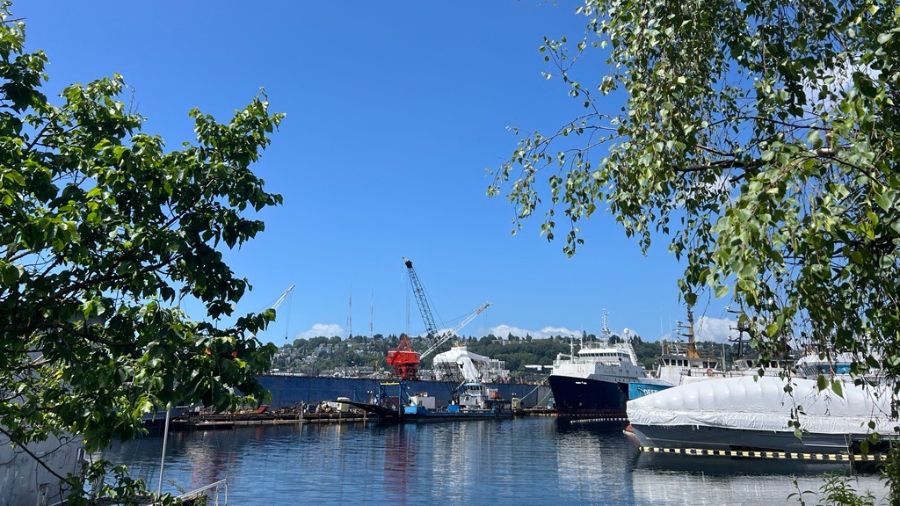 Photo: The long-awaited warmer drier weather is arriving! The sun shines in Eastlake, Seattle on Ju...